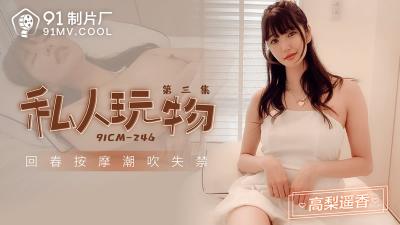 [九区]【91制片厂】91CM-246 私人玩物 第三集-高梨遥香